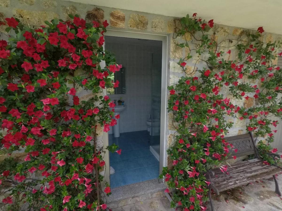 Valadas Guest House Canedo  Εξωτερικό φωτογραφία